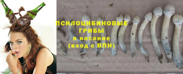 стафф Абаза