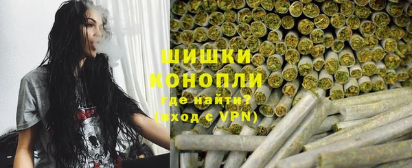 прущие грибы Козловка