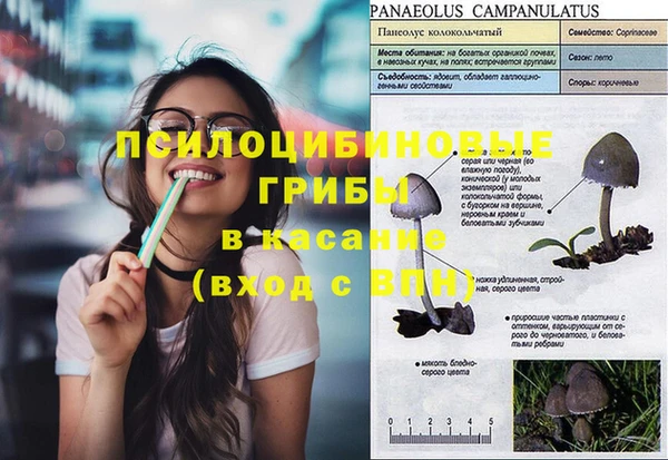 дурь Абдулино